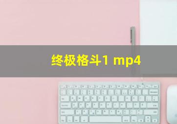 终极格斗1 mp4